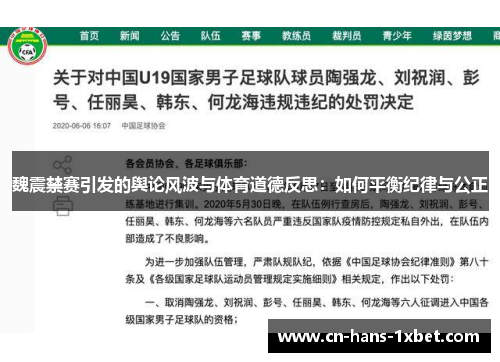 魏震禁赛引发的舆论风波与体育道德反思：如何平衡纪律与公正