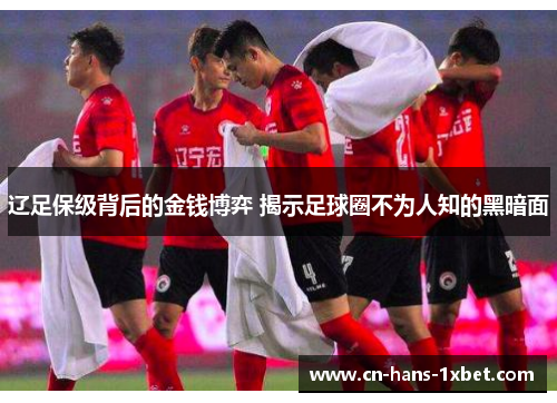 辽足保级背后的金钱博弈 揭示足球圈不为人知的黑暗面